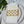 Large Trellis Napkin Wrap Set (4) Matte Gold